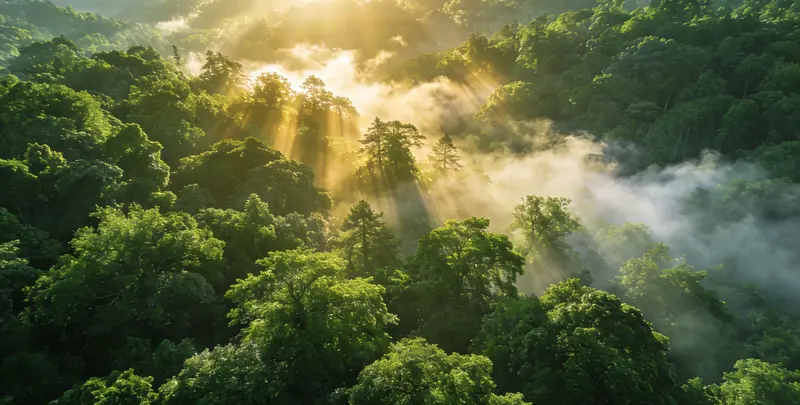 临汾肺癌靶向39基因检测及PDL122C3表达检测套餐（组织）图片1